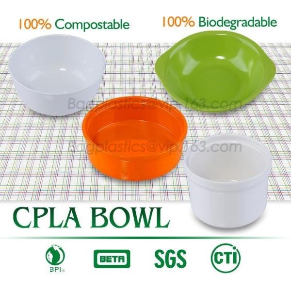 PLA unique clear fruit salad bowl,FDA SGS certificated disposable biodegradable