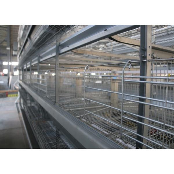 Quality High Efficiency Poultry Layer Cage Poultry Control Shed Farm Equipment wholesale