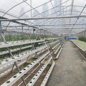 Easy-Assembly Galvanized Poly Multi-Tunnel Green House With Heavy-Duty Plastic