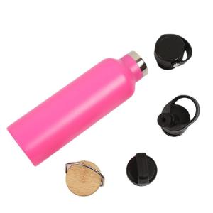 Insulated Bpa Free Double Wall Stainless Steel Vacuum Flask With Lids Customized