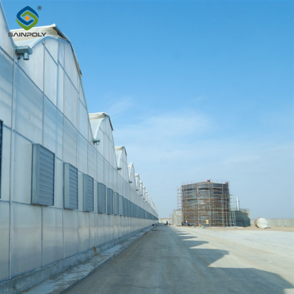 Commercial Multi Span Greenhouse Plastic Film Greenhouse For Vegetable Growing