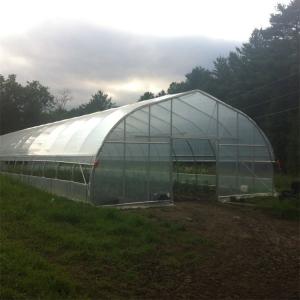 300 Square Meter Tunnel Plastic White Single Span Greenhouse For Strawberry