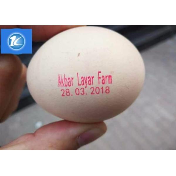 Quality Cycle Move Nozzle And Entire Tray Egg Printing Machine For Big Coder wholesale