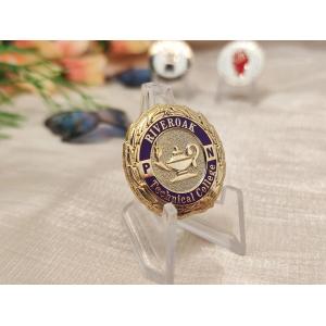 Custom Metal Lapel Pins Badges with Hard or Soft Enamel Gold Silver Copper