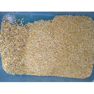 5400 Pixels Multifunction Color Sorter For Red Green Black Lentil Mung Dal