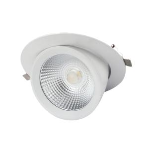 Gimbal LED Scoop Downlight