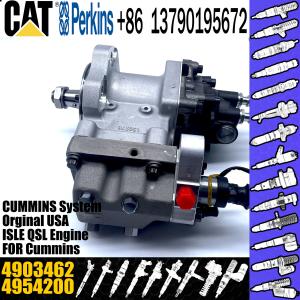 China Excavator Parts ISC8.3 QSC8.3 Engine fuel injection pump P5594766 4903462 4954200 4921431 3973228 on sale