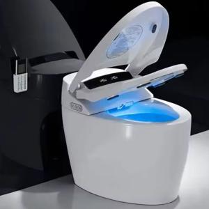 Automatic Sensor Flush Electric Bathroom Smart Toilet Japanese Style Floor Mounted