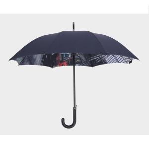 Train Printing Windproof 8 Ribs Compact Golf Umbrella 27*8K