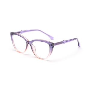 Optical Frame Eyeglasses TR90 Female Stylish 139MM Frame Width