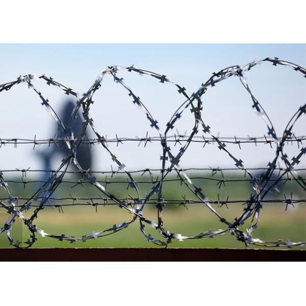 Garden Anti-Theft PVC Coated /Galvanized Barbed Wire Coils Fence