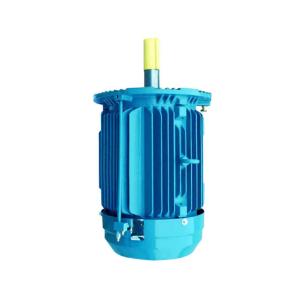 Asynchronous Electric Motor Flange Mounting High Temperature Resistant CNC 7HP