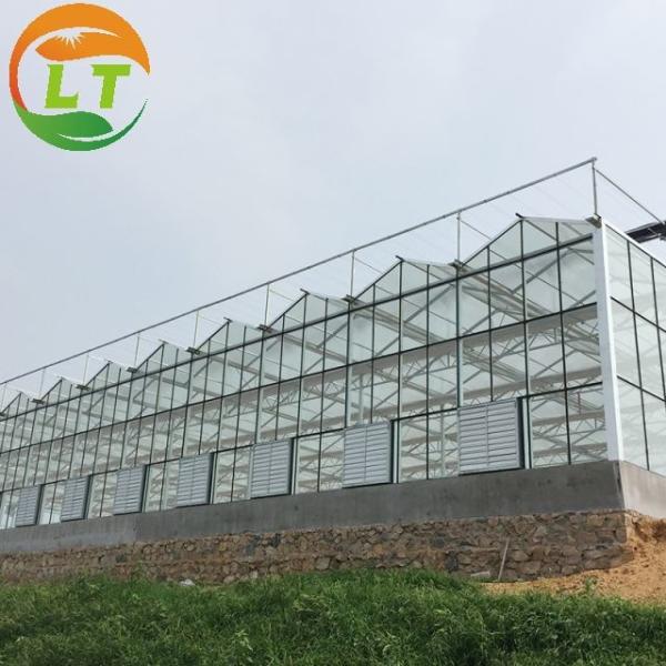 Quality Flower Vegetable Growing High Venlo Tempered Glass Greenhouse with Hydroponic System wholesale
