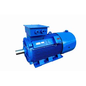 Medium And High Voltage Induction Motors 6KV Waterproof