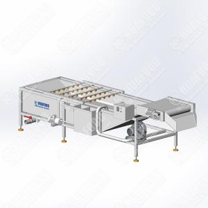 Home Use Manual Fruit And Vegetable Washing Machine Iso