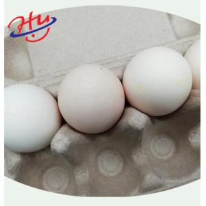 Factory direct sale 1000pcs/hour full Automation Egg Tray Machine Forming