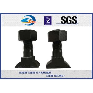 DIN ASTM GB Standard SKL12 Track Bolt Railway T-Bolt HS32 customized Grade 4.6/4