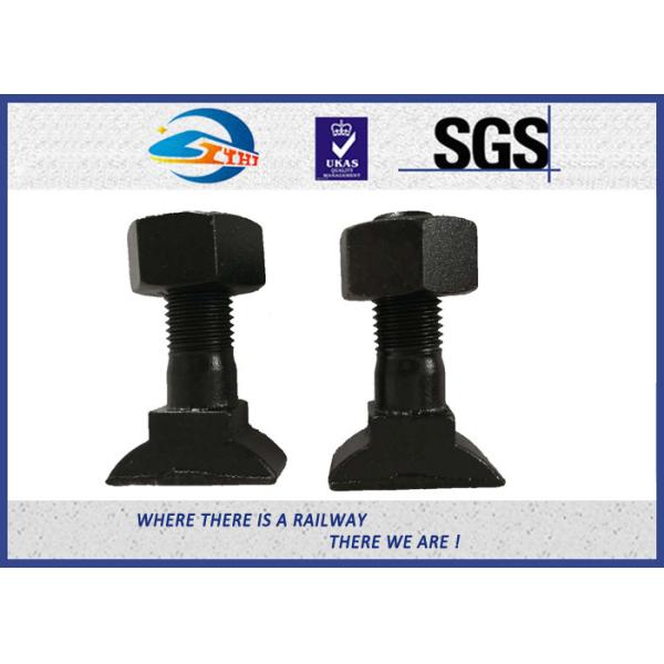 DIN ASTM GB Standard SKL12 Track Bolt Railway T-Bolt HS32 customized Grade 4.6/4