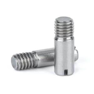 Stainless Steel SS Stainless Steel SS External Thread Round Parallel Pin Slotted
