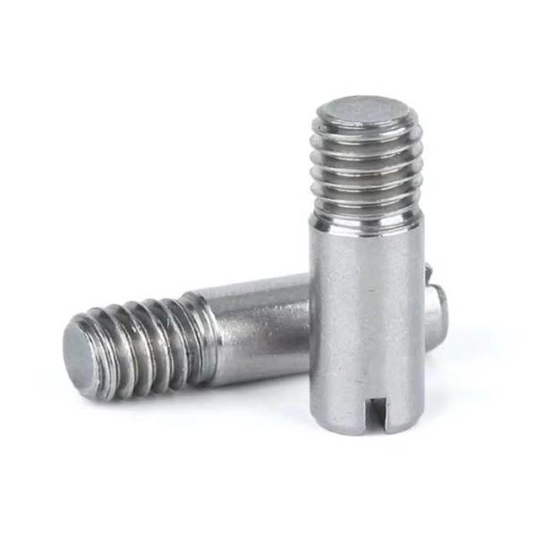 Stainless Steel SS Stainless Steel SS External Thread Round Parallel Pin Slotted