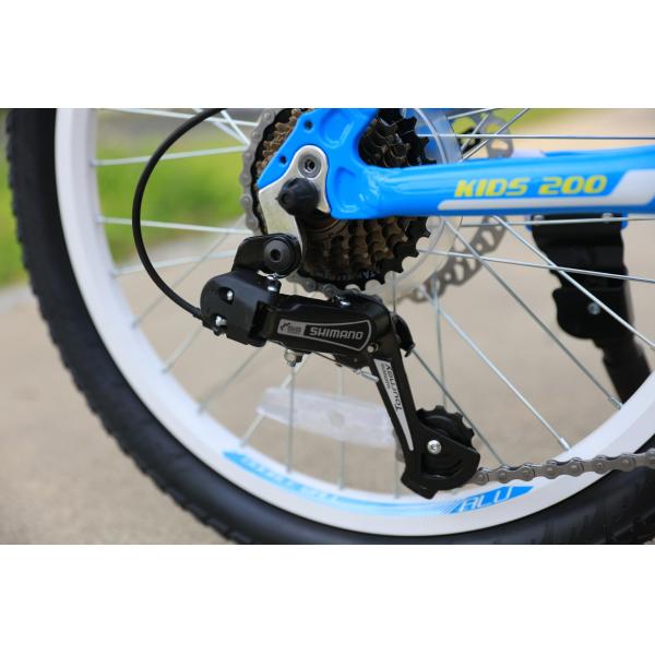 20 Inch Kids Bike Soft-tail Frame Red/Blue Training Wheels 3-8 Year Olds