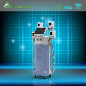 2015 multifunction lose weight 4 cryolipolysis heads 4 handls cryolipolysis