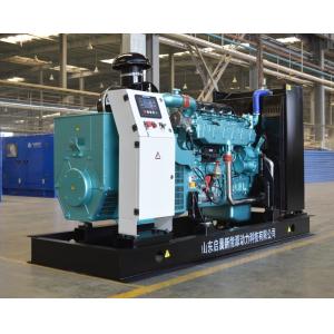 Biogas Generator for Biogas Plant Power Generation