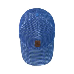 Summer 6 Panel Mesh Baseball Caps Quick Easy Dry Trucker Mesh Caps Character