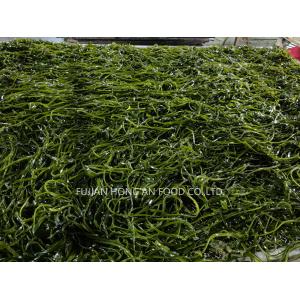 Cheap 1 Year Shelf Life Kelp Kombu Sprouts Sea Vegetable Green Color Umami Taste for sale