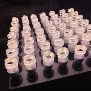 13 Watt Reptile Bulb Desert UVA UVB Light For Lizards Bearded Dragons