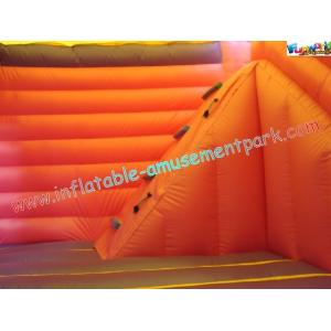 Funny Inflatable Bouncer Slide , Commercial Children Princess Slides