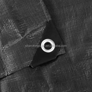 Black PE Tarpaulin for Waterproof and Dustproof Item Covering in 3x4m 4x5m 4x6m