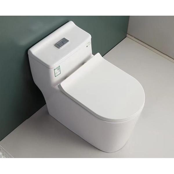 Quality S Trap One Piece Chair Height Toilet Dual Flush Mix Pit Spacing 220mm wholesale