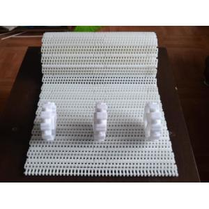 Custom Modular Plastic Conveyor Curved Belt From China Factory