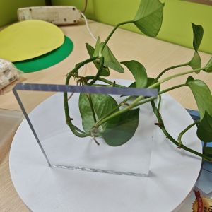 Plastic Polycarbonate Sheet Known for High Tensile Strength and Durability