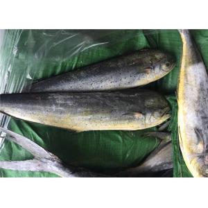 Seafood Coryphaena Hippurus BQF 1KG Frozen Mahi Mahi