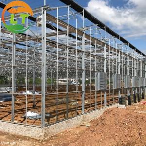 Large Multi-Span Glass Greenhouse with Hot-Dip Galvanized Skeleton and Control