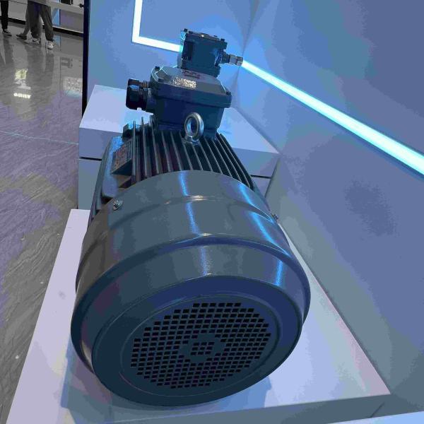 Quality 220V Single Phase Electric Motors Low Voltage With CCC wholesale