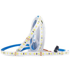 Indoor Flexible Led Light Strip 12v Drip Waterproof Ip65 Cct Dual Color