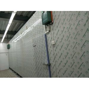 -18 Degree Walk In Cold Ice Storage Room With Swing / Sliding Door