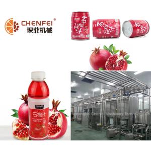 Guava Fruit Juice Processing Equipment SS304 Material CFM-B-03-26T Silver Color