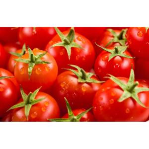 China Fresh Tomato Puree Processing Line  6.5t/H High Capacity on sale