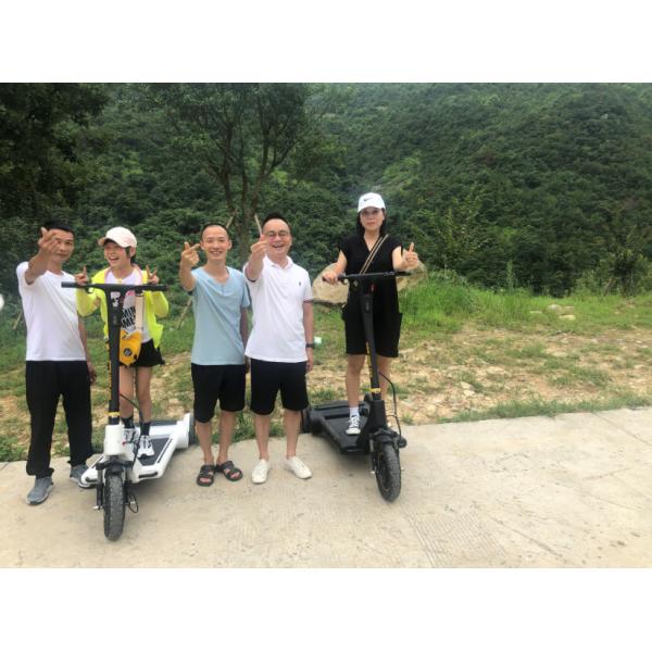 Quality Chopper City Stroller Scooter wholesale