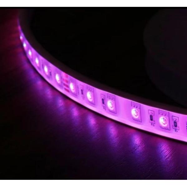 Quality 14.4W/M IP68 RGB Color Changing LED Strip Lights For Marine Lighting wholesale