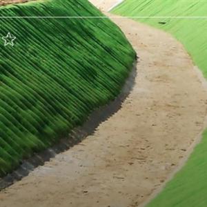 Double Layered Composite Geotextile Sand Filled Mattress For Slope Protection