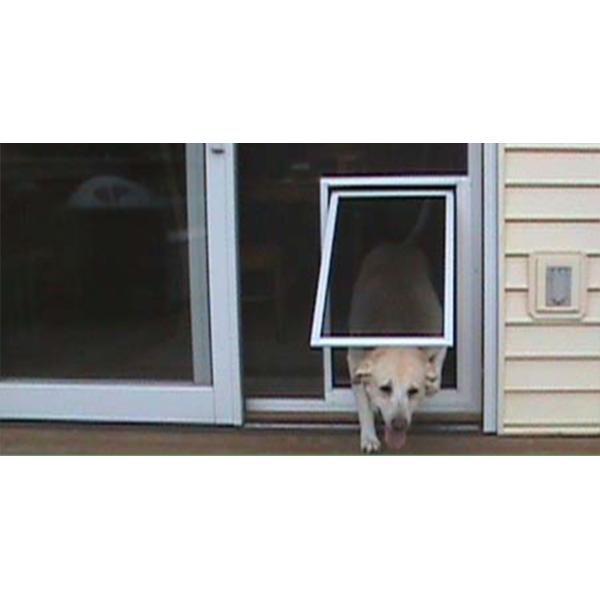 Quality 127-365cm Paw Proof Mesh , 9x9 Pet Resistant Window Screen wholesale