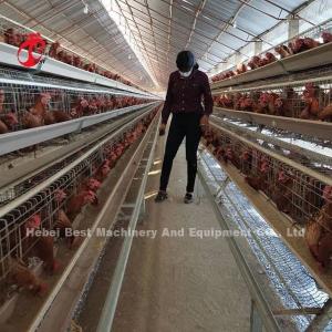 A Type Automatic Poultry Farming Cage System For Layers Star