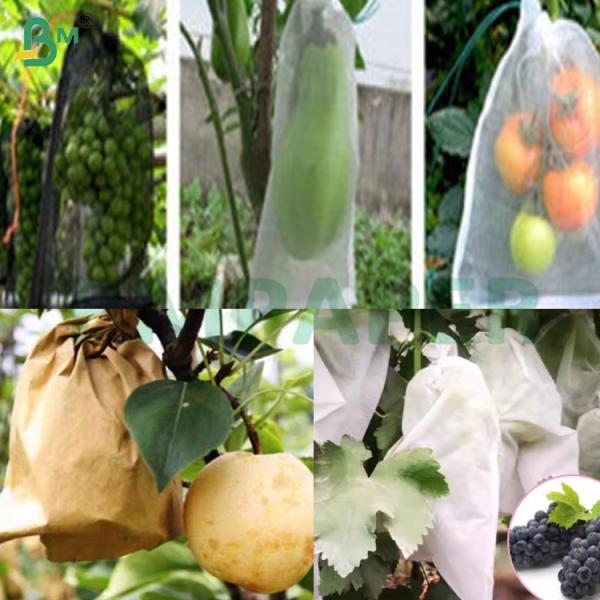 30gsm Kraft Paper Sheets for Protecting Fruits and Vegetables 30gsm Kraft Paper Sheets for Protecting Fruits and Vegetables