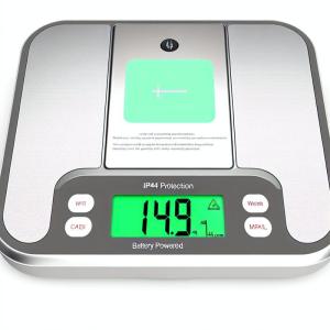 IP44 Digital Weighing Scale with NLP Printer and Rechargeable Battery