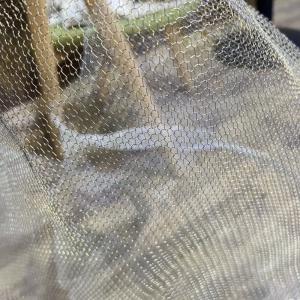 Stainless Steel / Copper / Brass Knitted Mesh Fabric For Filtration